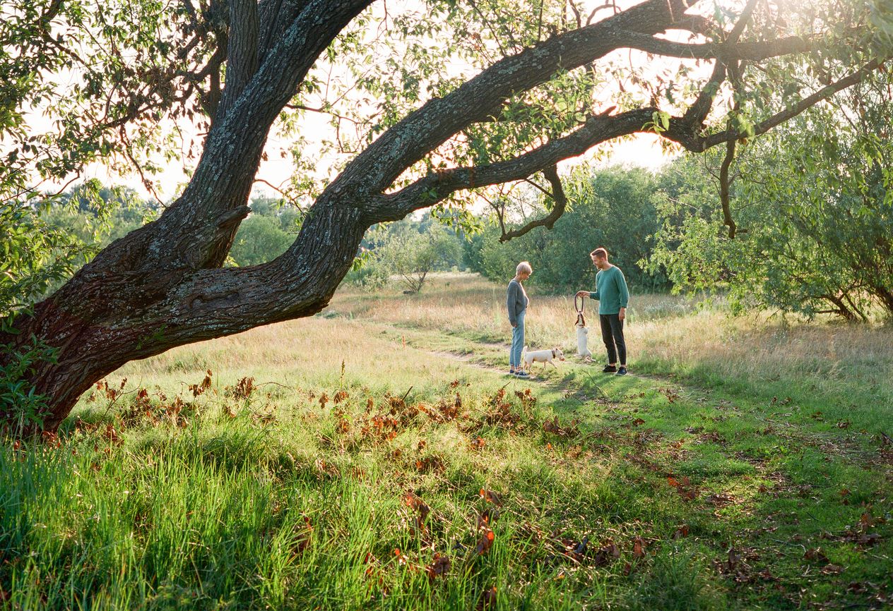 Het Bentwoud in je achtertuin