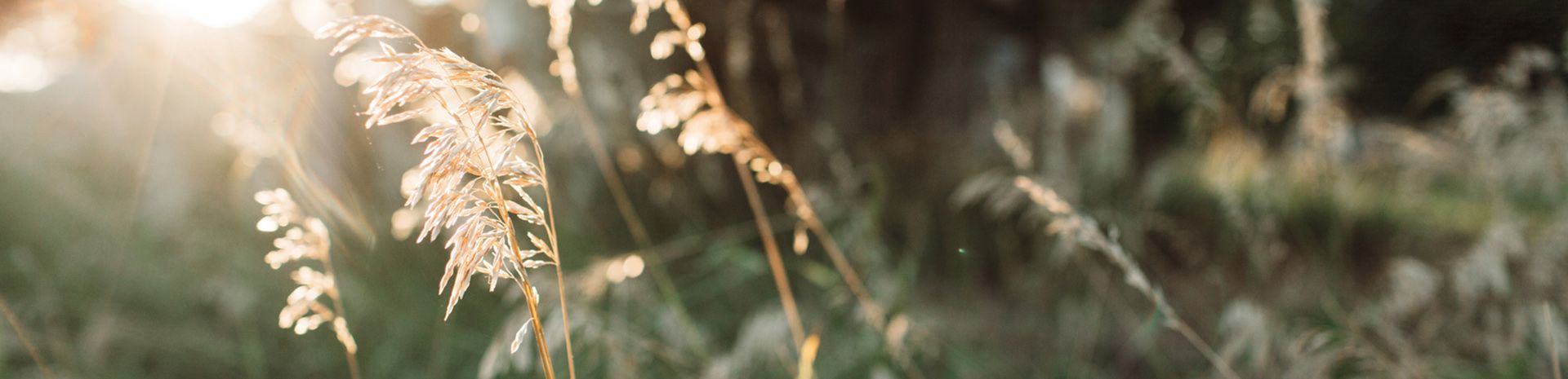 Locatie en Omgeving - Informatieblok 1